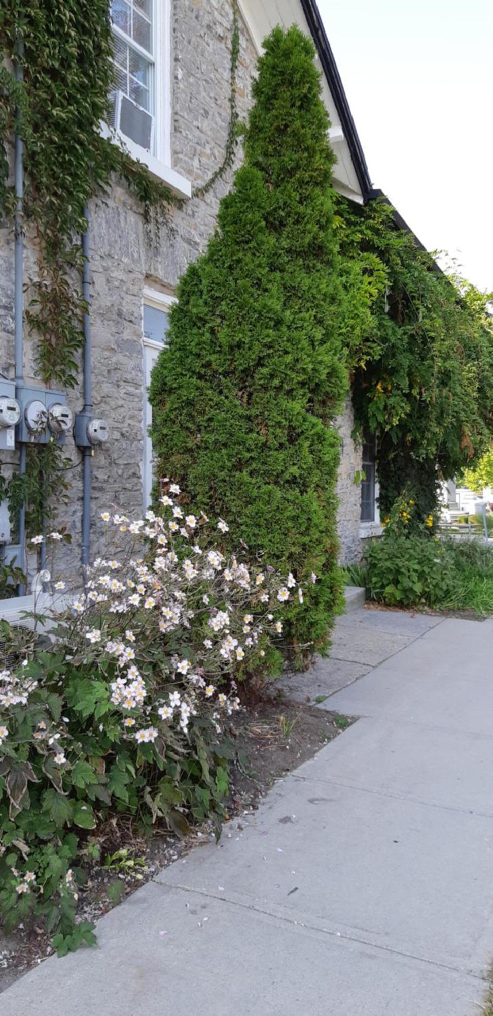 Stone Carriage House Villa พิกทัน ภายนอก รูปภาพ
