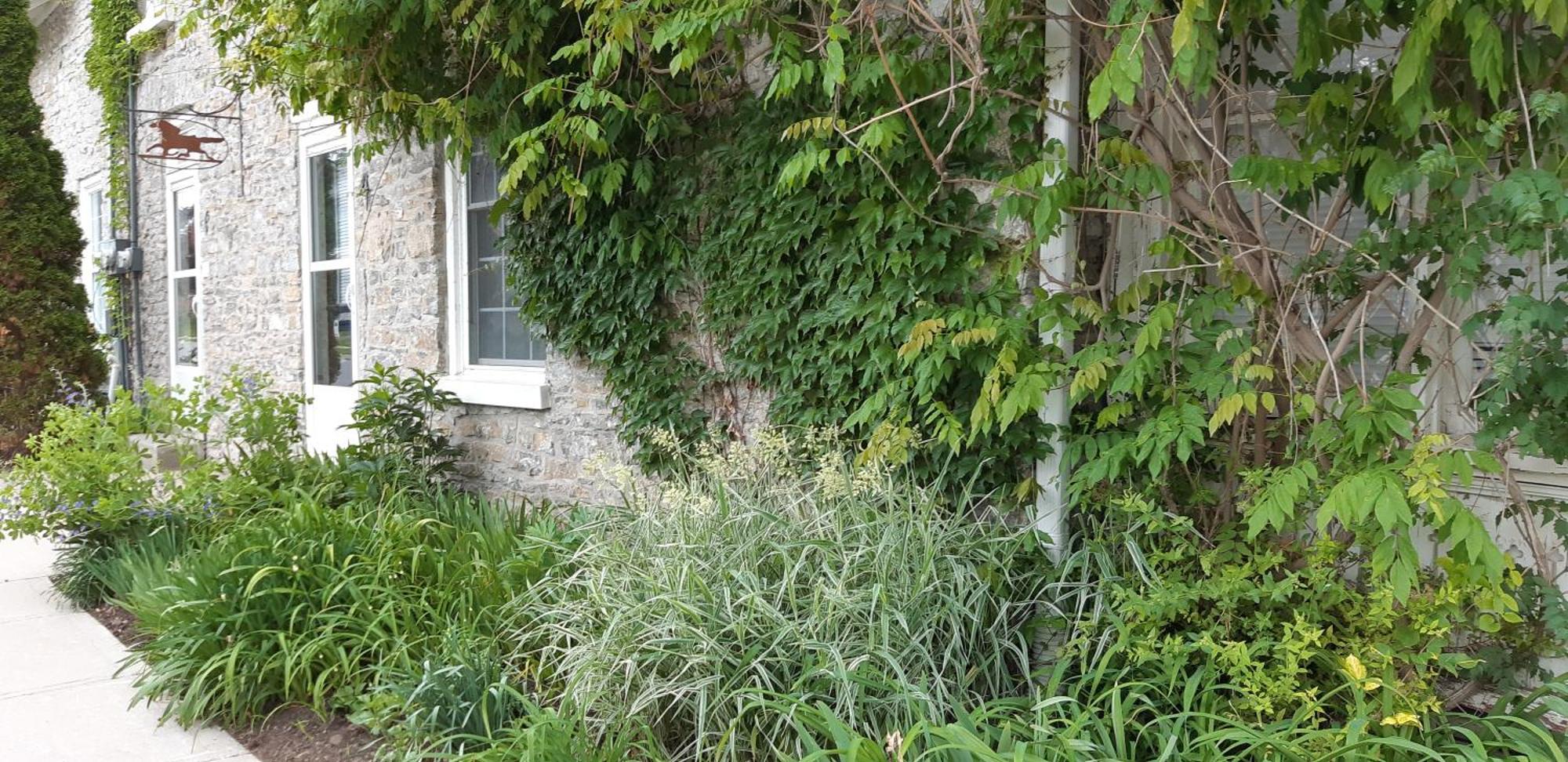 Stone Carriage House Villa พิกทัน ภายนอก รูปภาพ